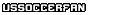 USSOCCERFAN.COM